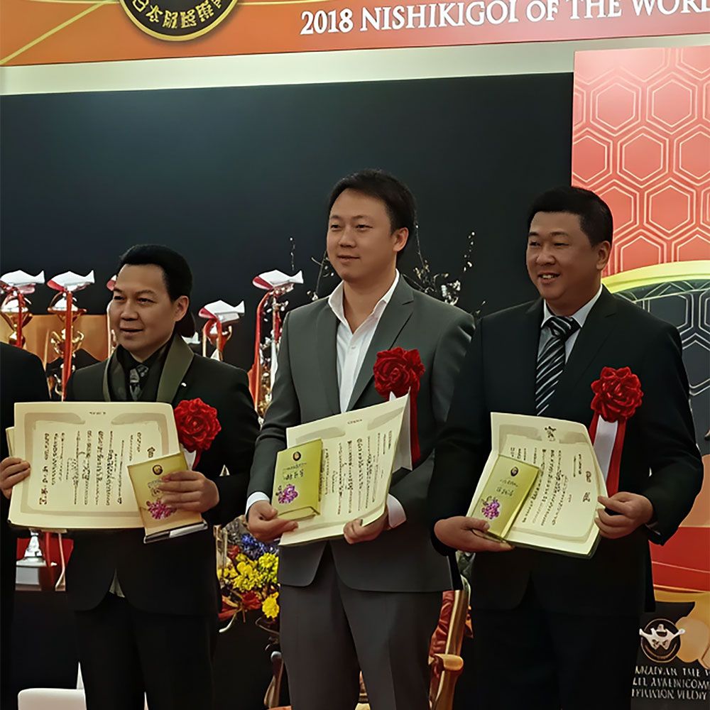 About Us - Our Story - Nishikigoi Alliance